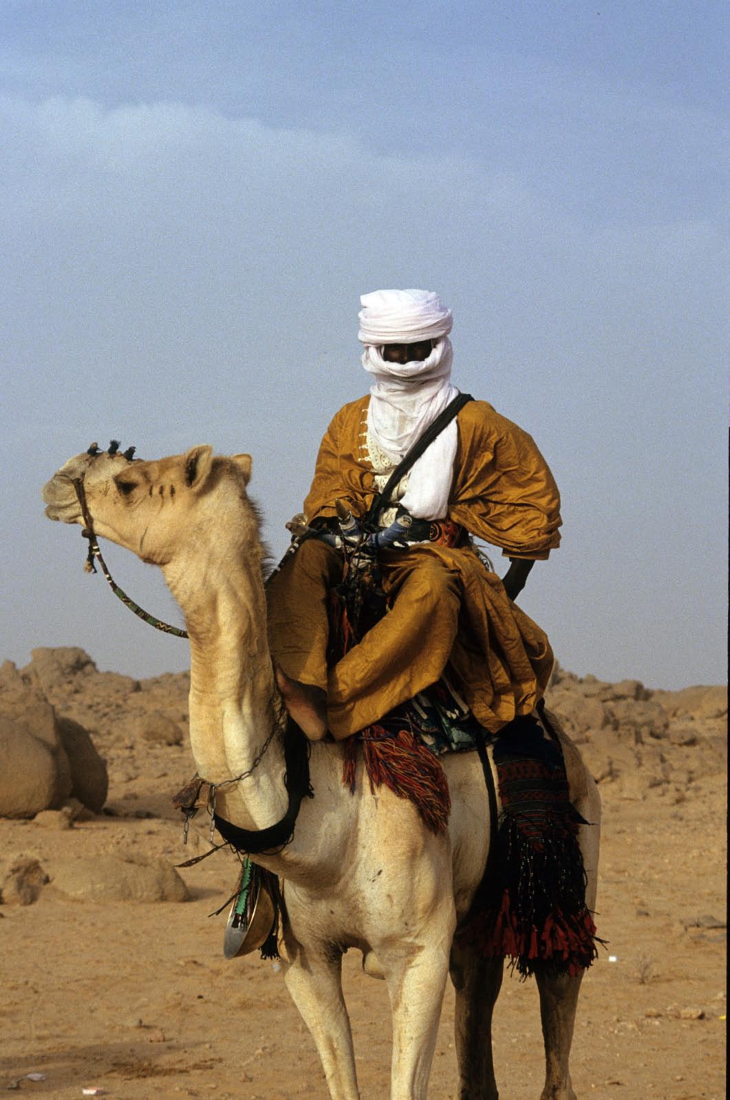 touareg et son mehari