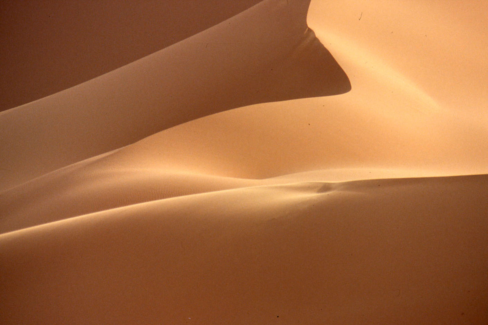 dunes sahara 05