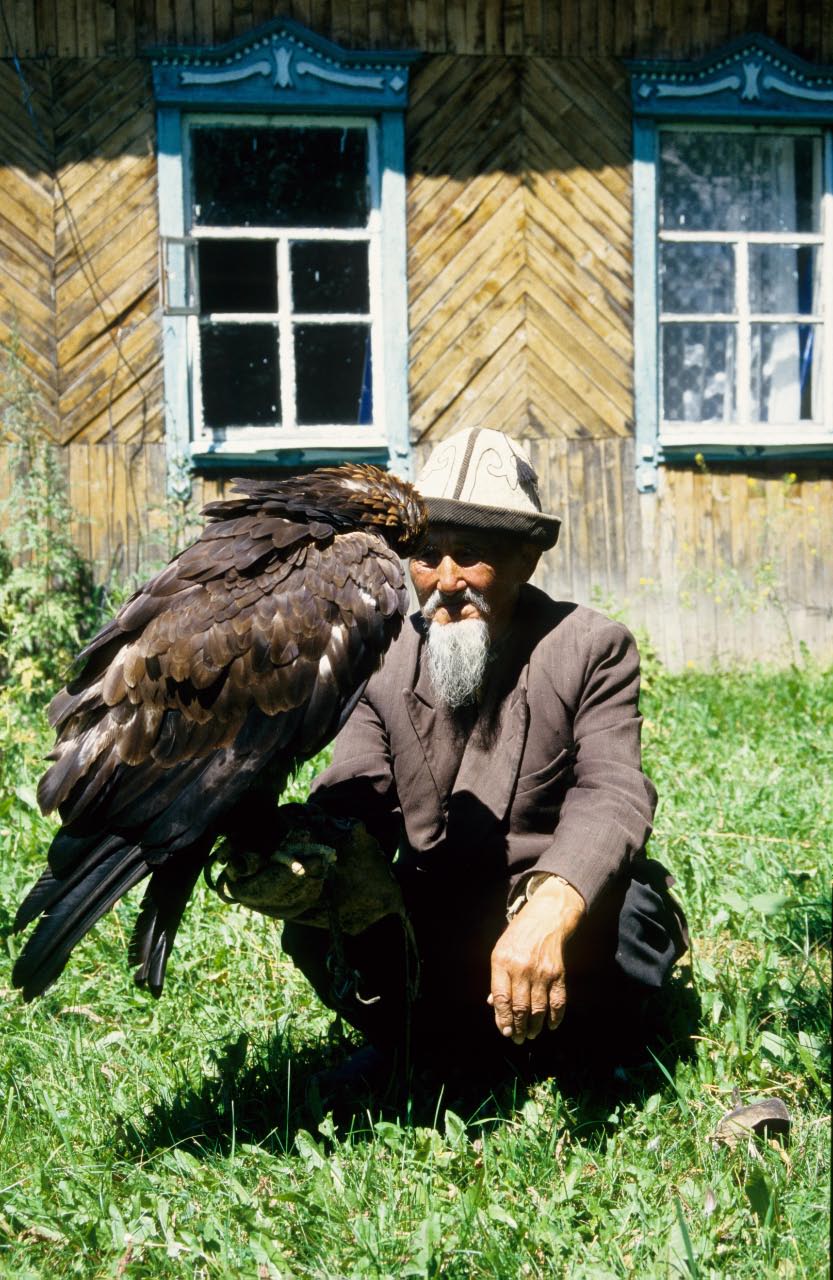 Vieux chasseur a l'aigle du Kazakhstan Vieux chasseur a l'aigle du Kazakhstan