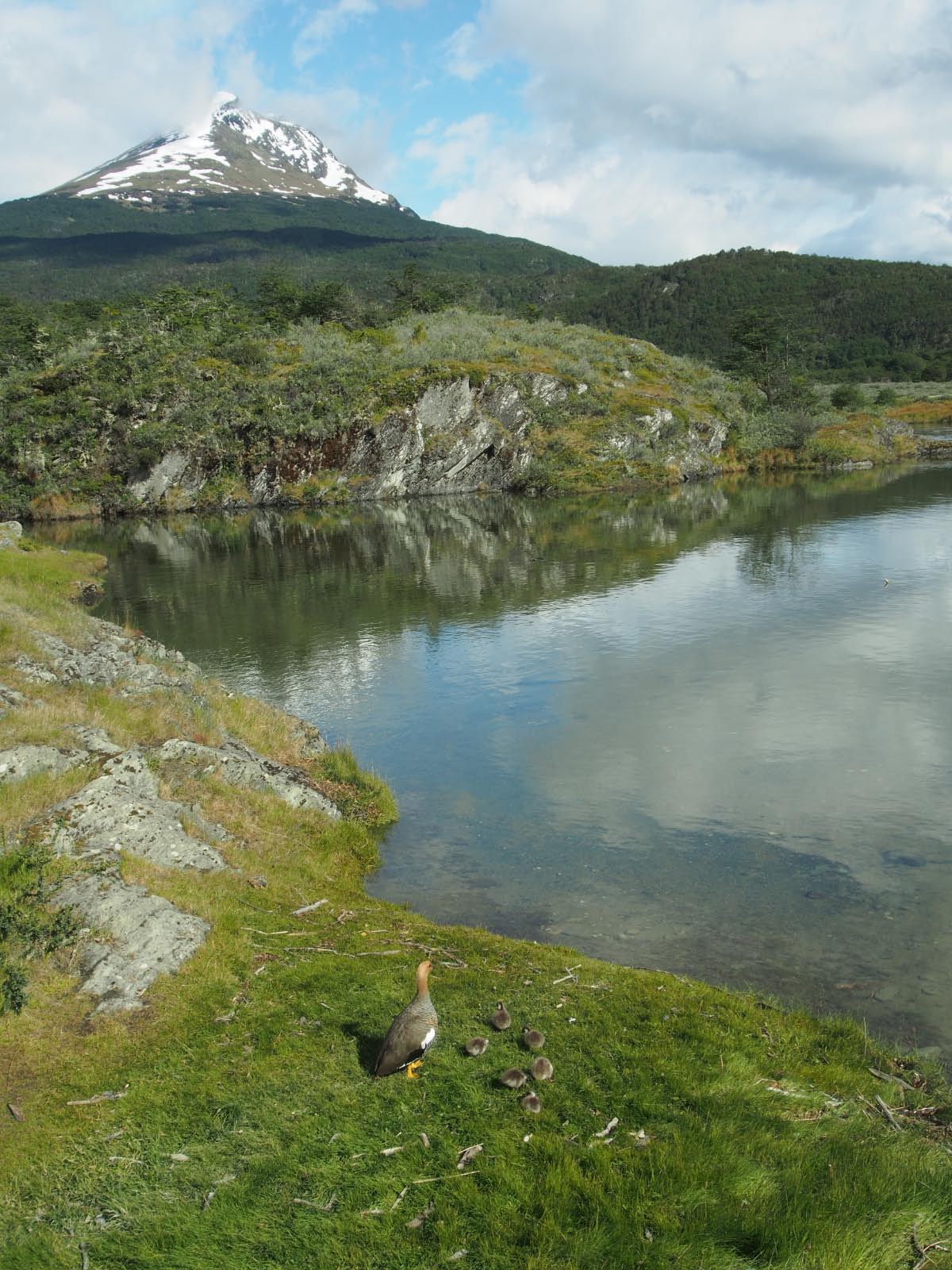 Ushuaia - parc de terre de feu