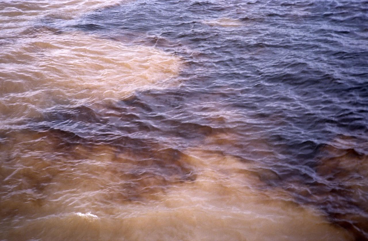 Amazone et rio negro