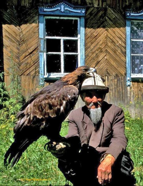 Kazakh: chasseur à l'aigle Kazakh: chasseur à l'aigle