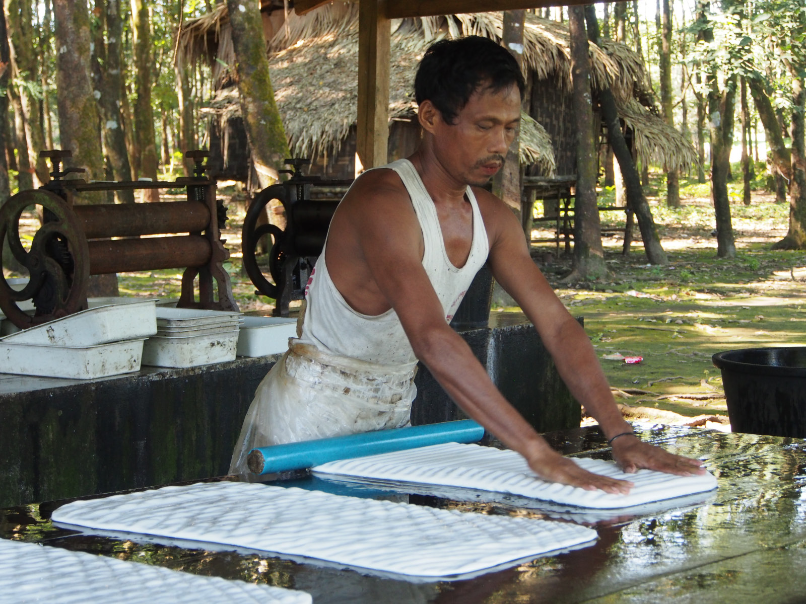 Karen - collecte du caoutchouc
