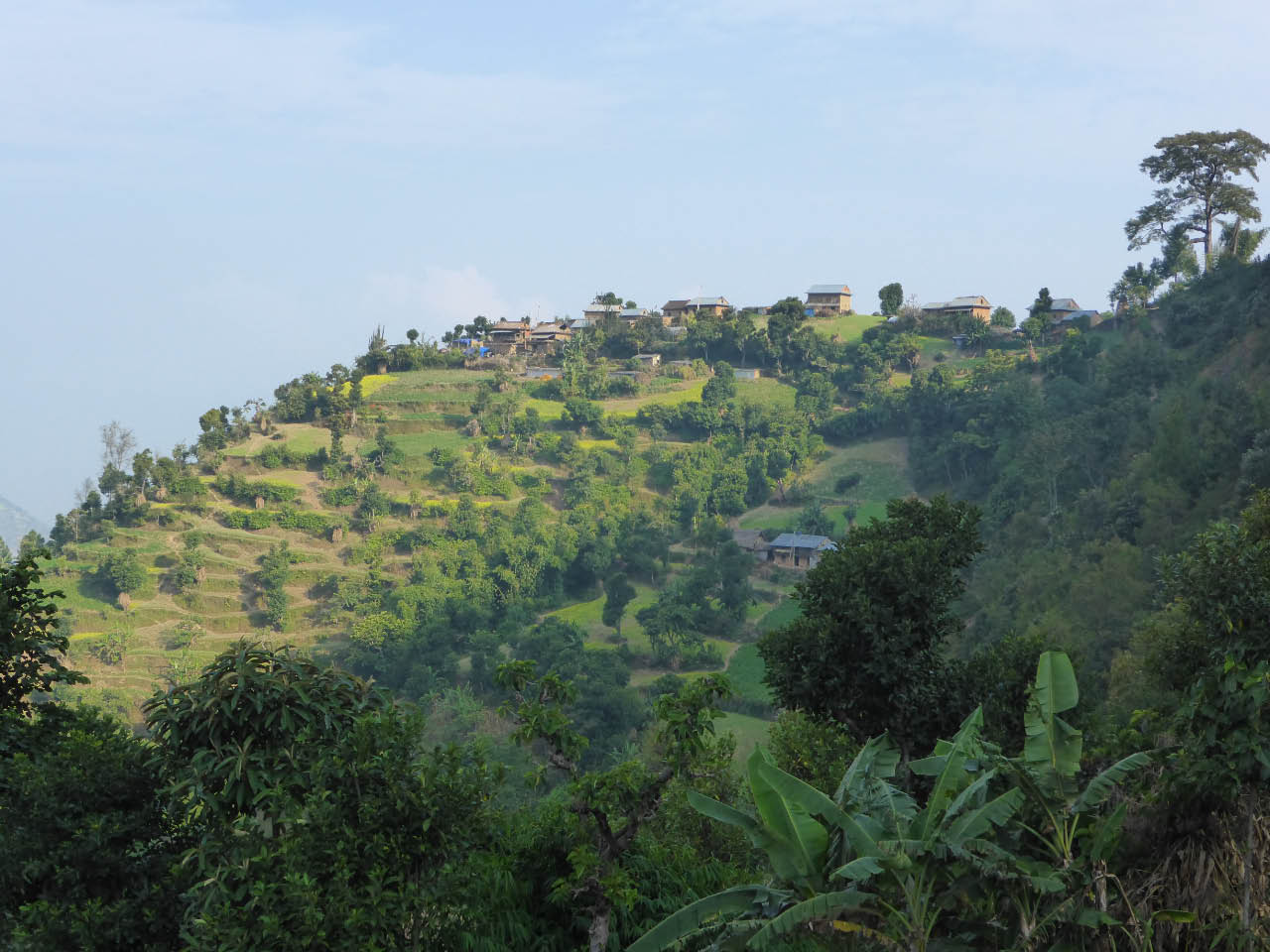 Cultures en terrasses chez les Tamangs