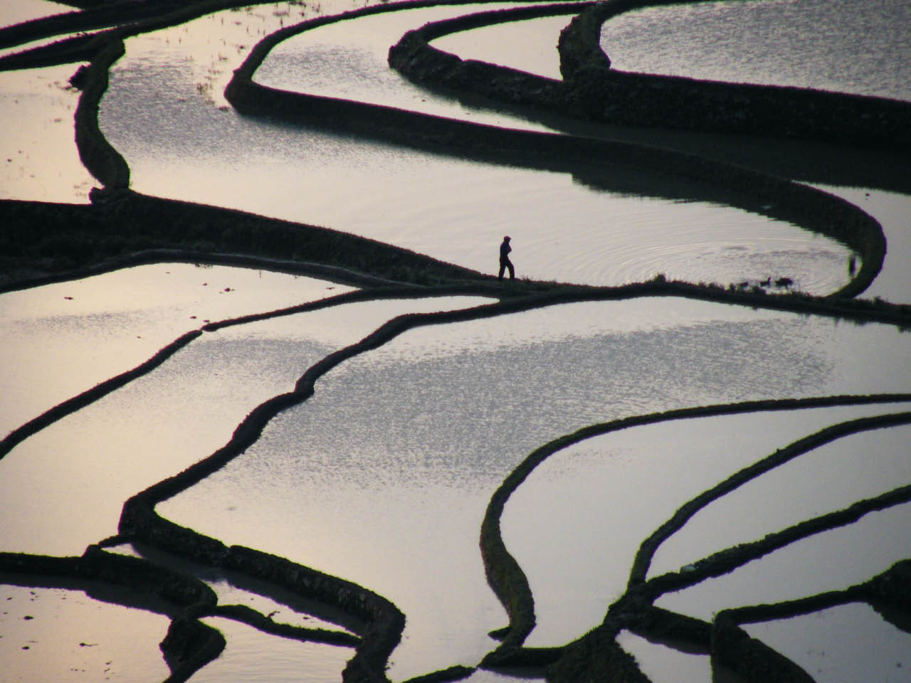 les rizières du ciel au Yunan a Yuang Yang les rizières du ciel au Yunan