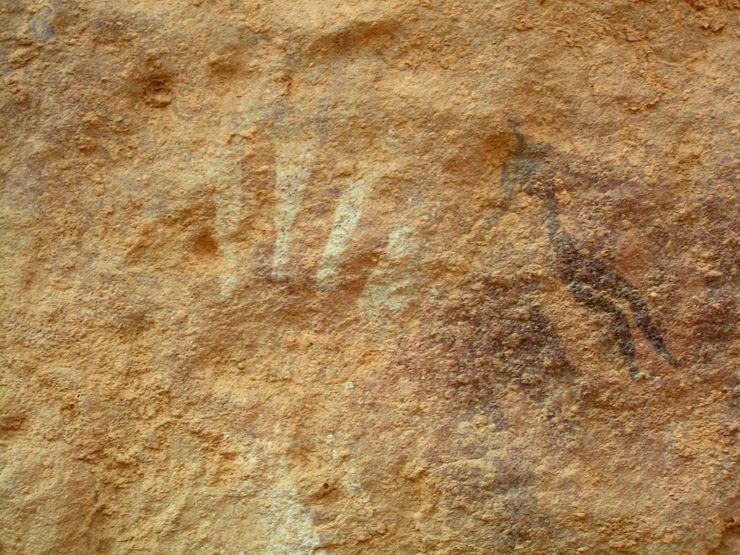 sahara rupestre - trace de main au pochoir (In Meskis)