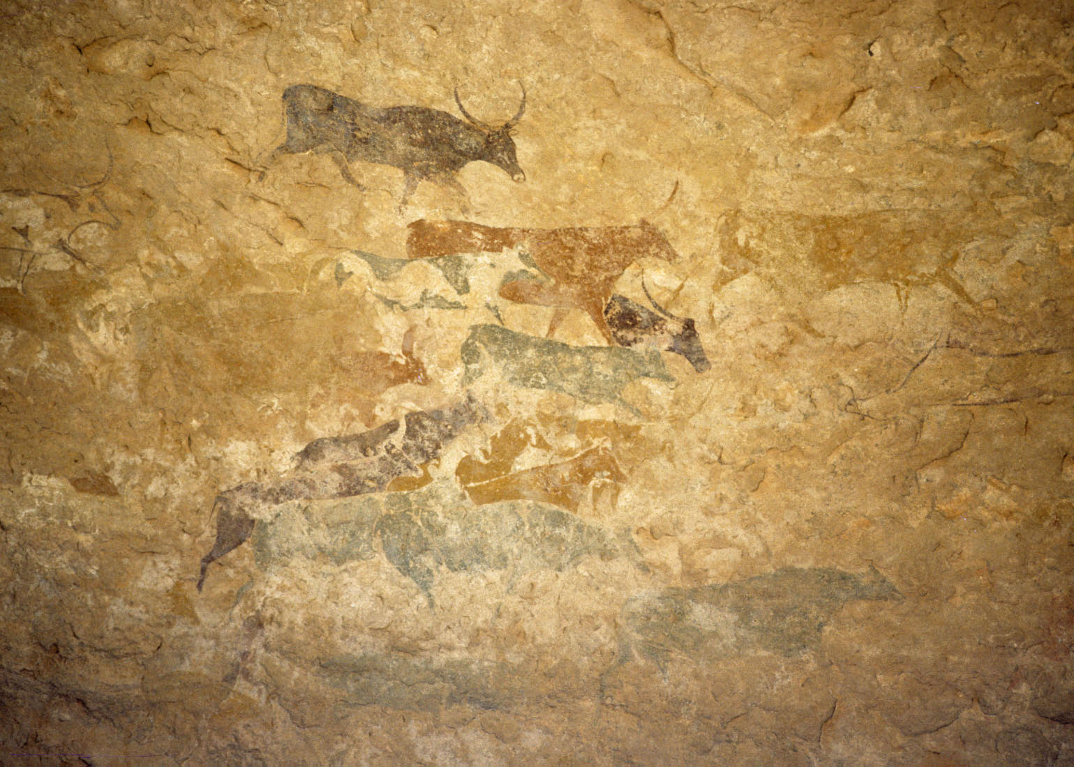 sahara rupestre - tamrit - sefar