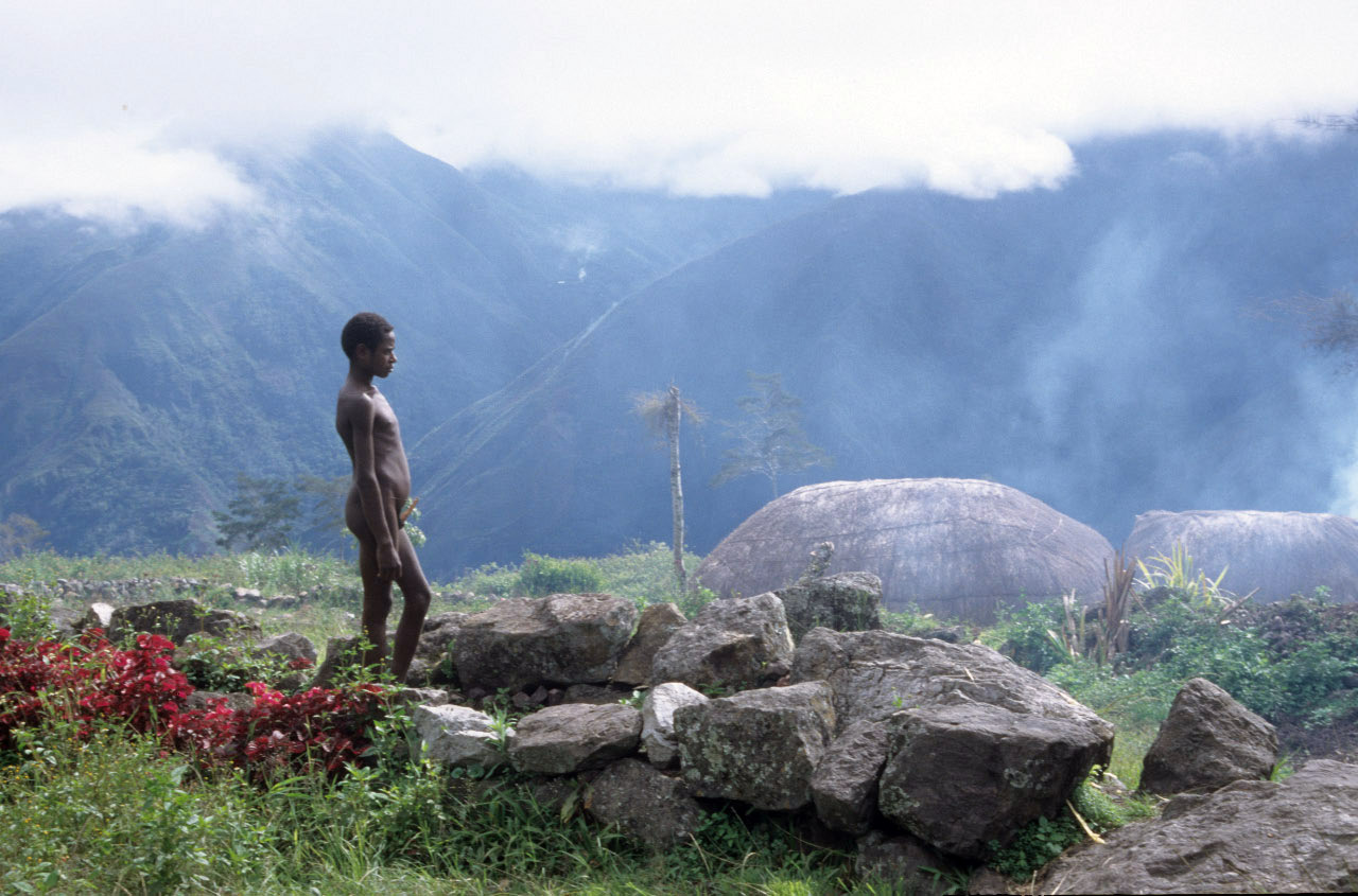 papou des montagnes du centre de la Nouvelle Guinée