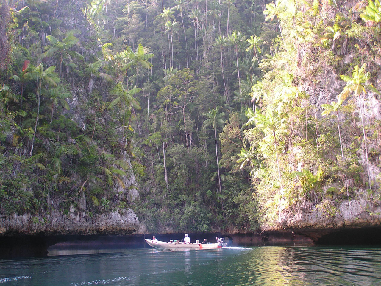 Dédale marin dans un paysage Karstique