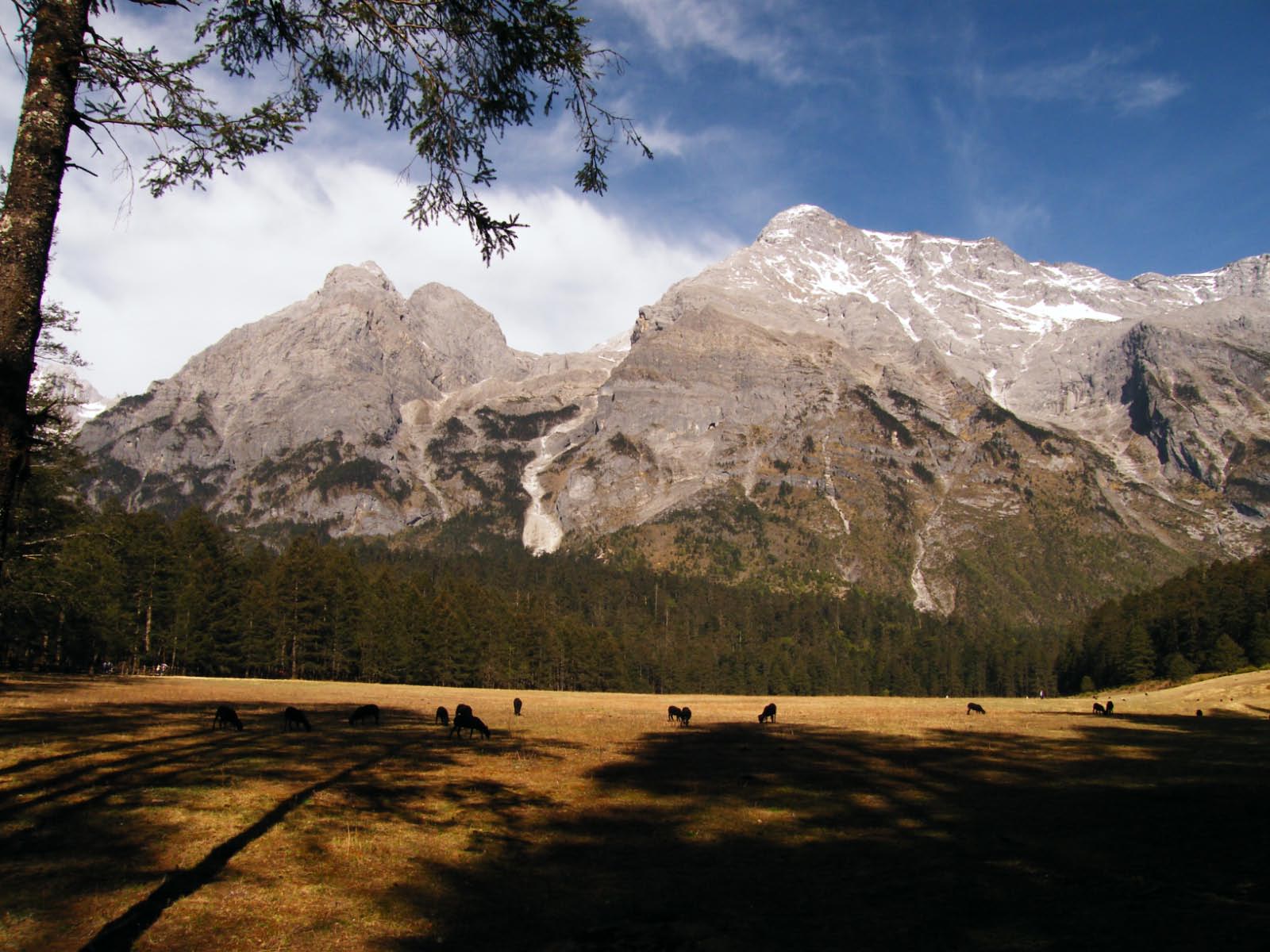 montagne du dragon de jade
