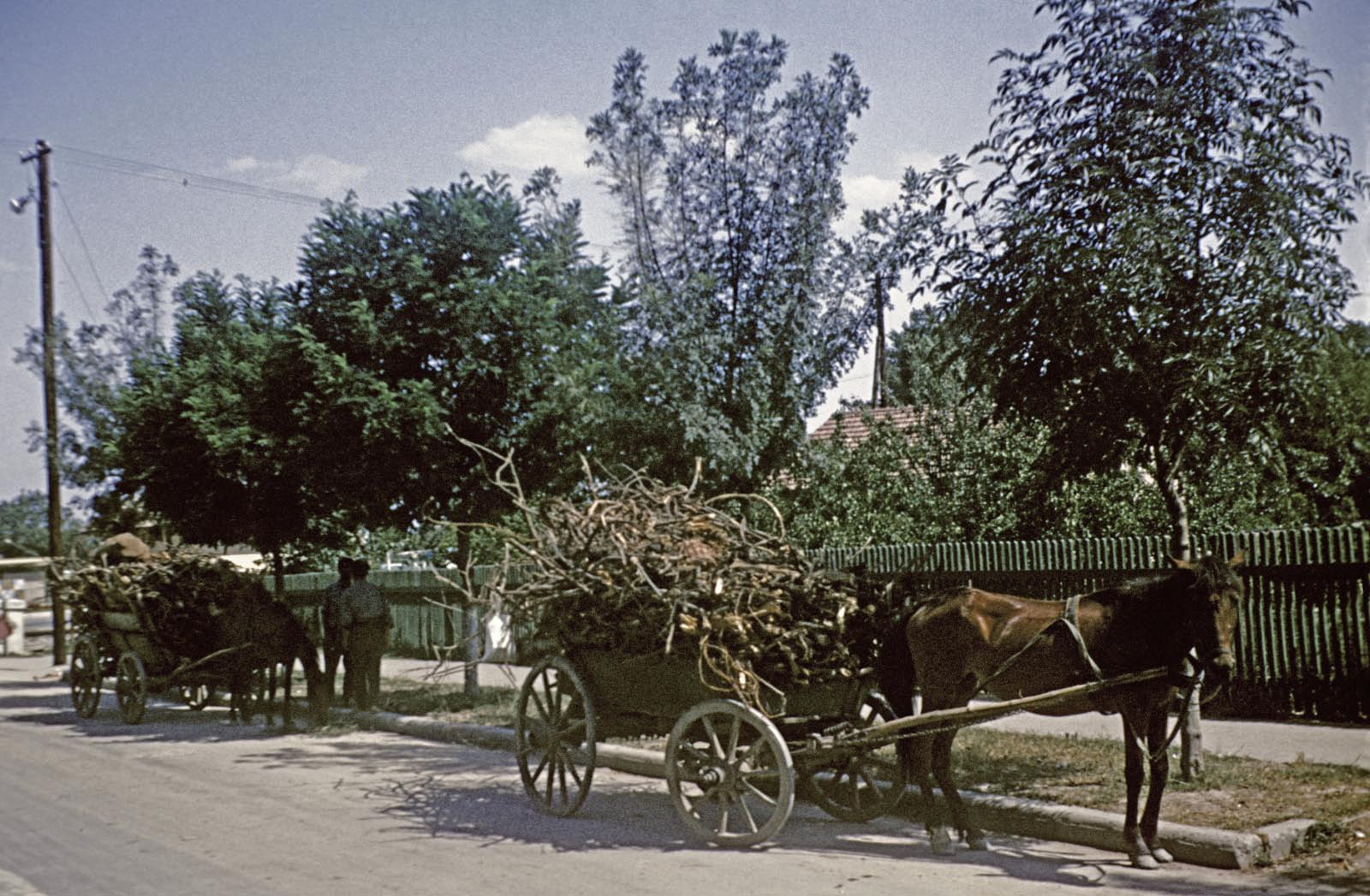 Roms d'europe de l'est Roms d'europe de l'est