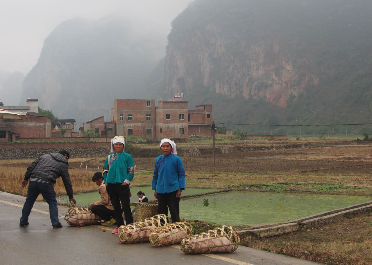 en route pour le marché en route pour le marché