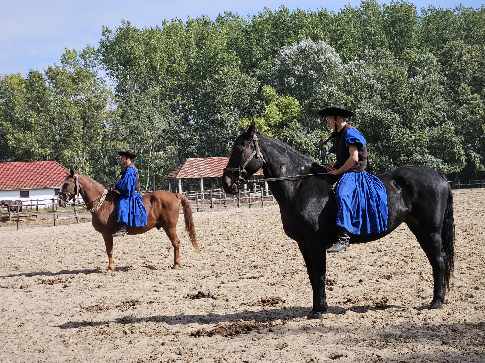 Cavaliers traditionnels de la plaine hongroise Cavaliers traditionnels de la plaine hongroise