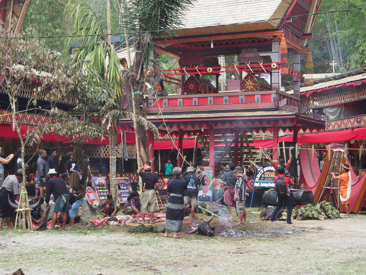 funérailles chez les Toraja funérailles chez les Toraja