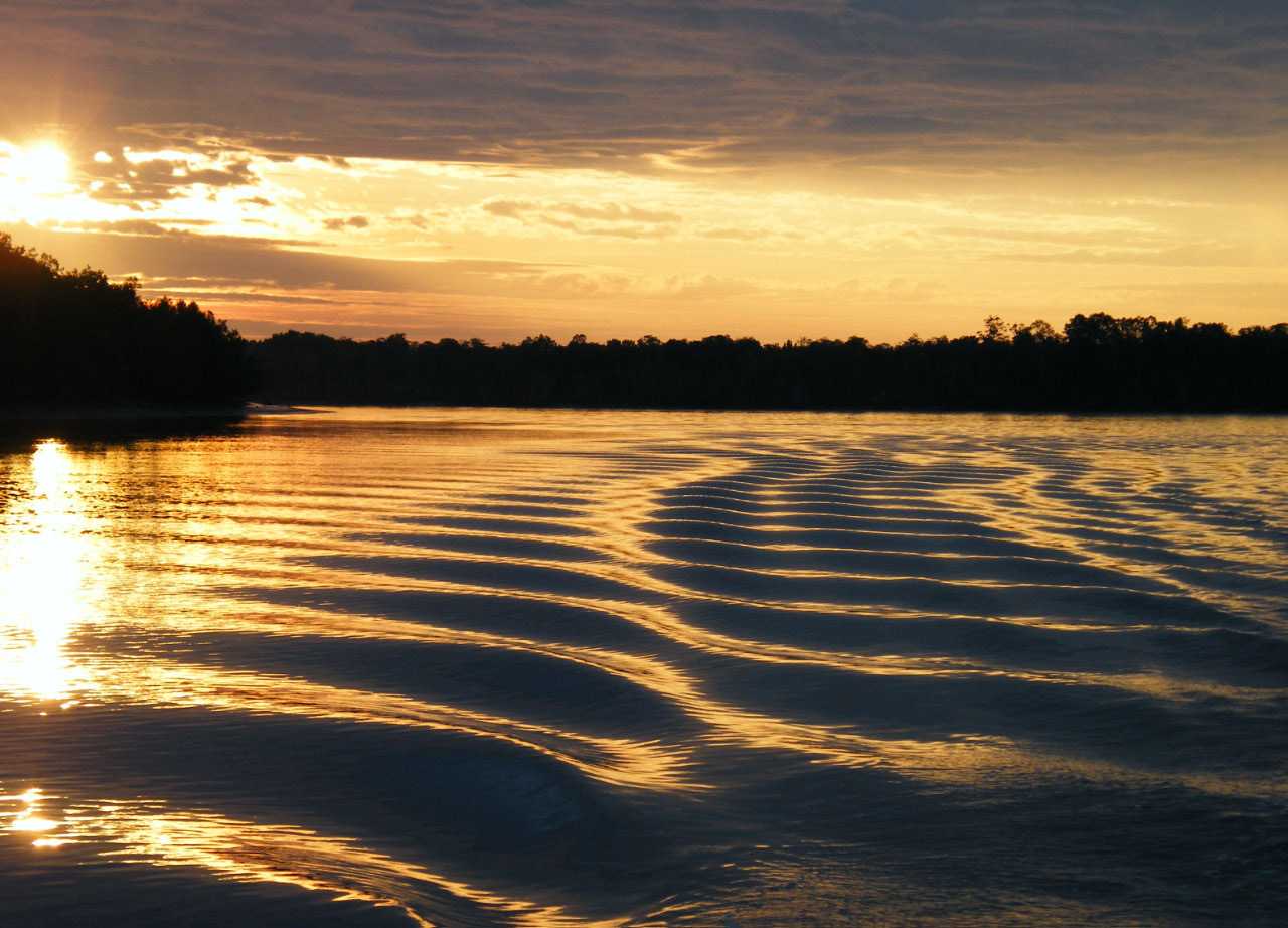 Nlle Guinée Sur les estuaires du sud